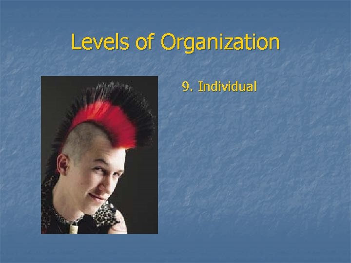 Levels of Organization 9. Individual 