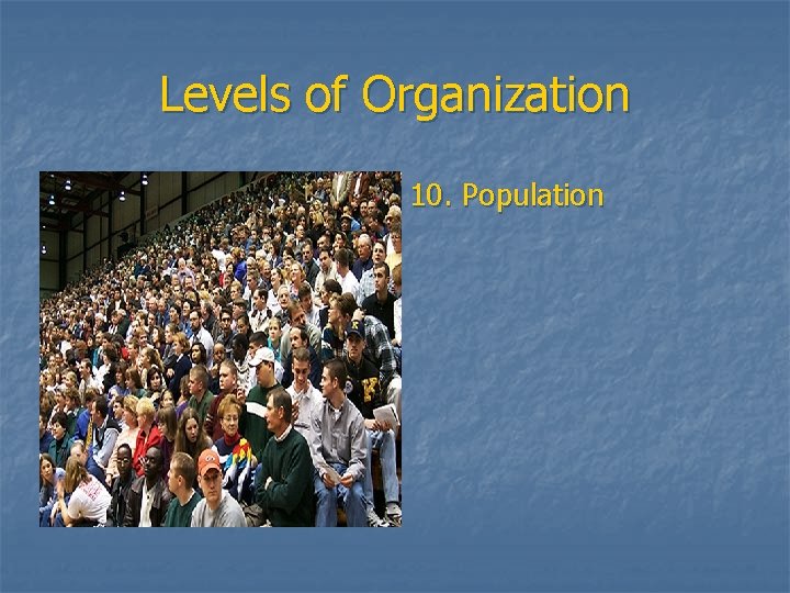 Levels of Organization 10. Population 