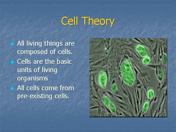 Cell Theory n n n All living things are composed of cells. Cells are