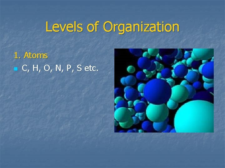 Levels of Organization 1. Atoms n C, H, O, N, P, S etc. 
