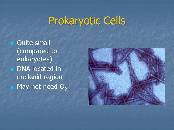 Prokaryotic Cells n n n Quite small (compared to eukaryotes) DNA located in nucleoid