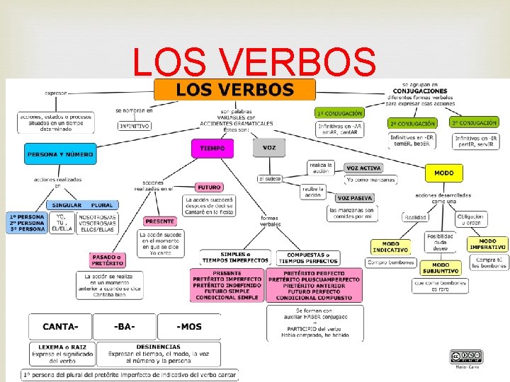 LOS VERBOS 