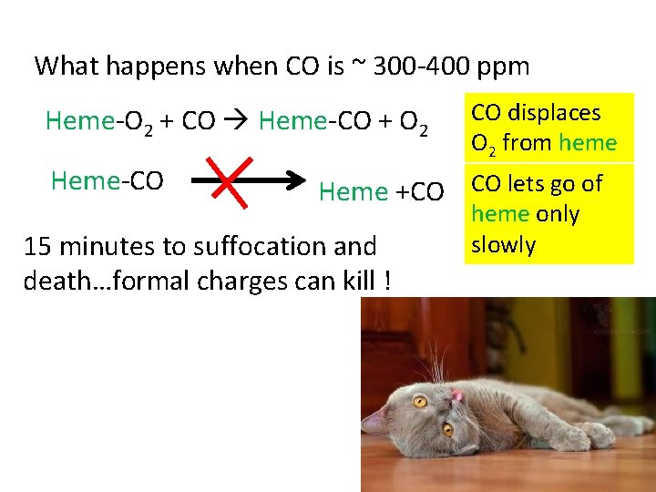 What happens when CO is ~ 300 -400 ppm Heme-O 2 + CO Heme-CO