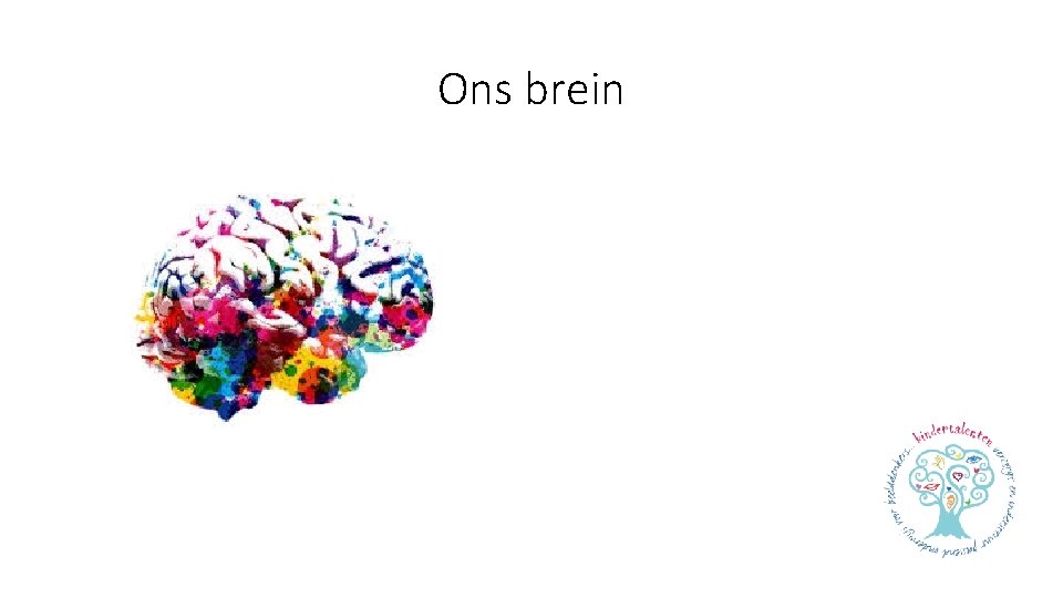Ons brein 