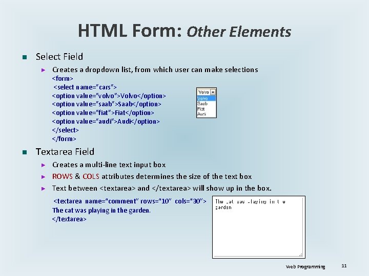 HTML Form: Other Elements n Select Field ► Creates a dropdown list, from which