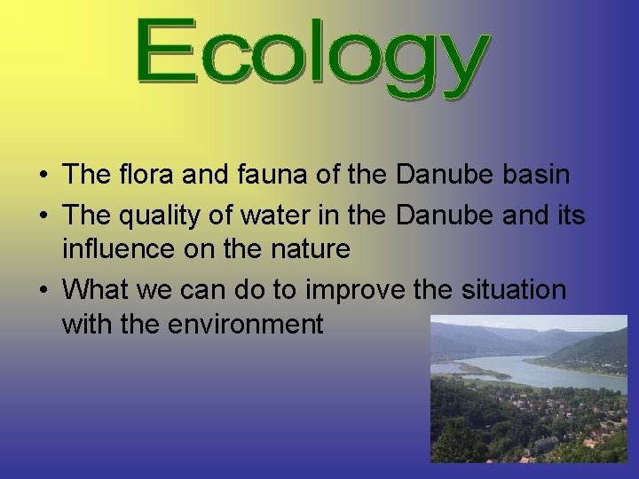 • The flora and fauna of the Danube basin • The quality of • The flora and fauna of the Danube basin • The quality of