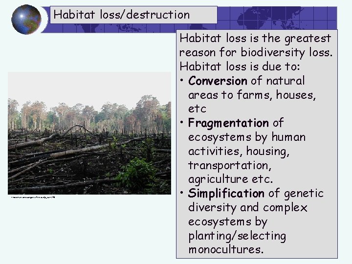 Habitat loss/destruction http: //en. wikipedia. org/wiki/File: Lacanja_burn. JPG Habitat loss is the greatest reason