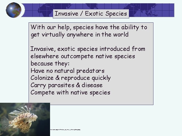 Invasive / Exotic Species With our help, species have the ability to get virtually