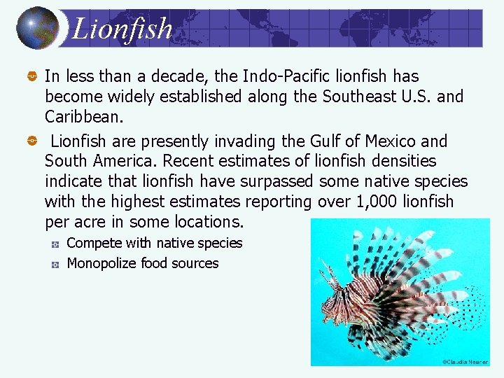 Lionfish In less than a decade, the Indo-Pacific lionfish has become widely established along