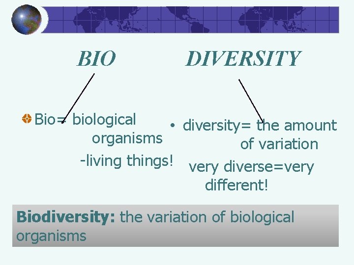 BIO DIVERSITY Bio= biological • diversity= the amount organisms of variation -living things! very