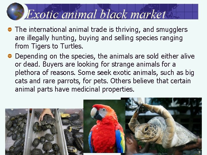 Exotic animal black market The international animal trade is thriving, and smugglers are illegally