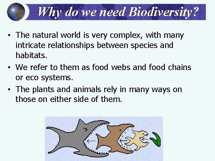 Why do we need Biodiversity? • The natural world is very complex, with many