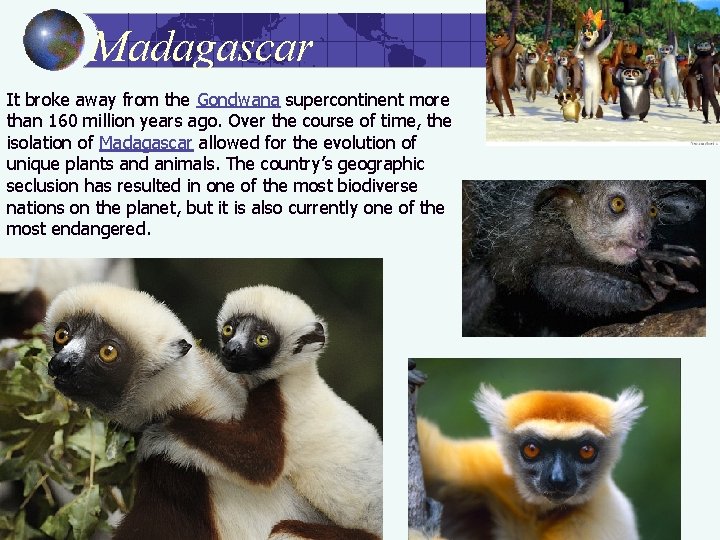 Madagascar It broke away from the Gondwana supercontinent more than 160 million years ago.