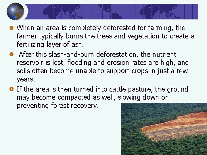 When an area is completely deforested for farming, the farmer typically burns the trees