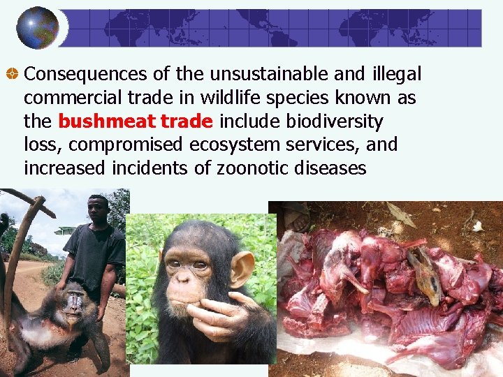 Consequences of the unsustainable and illegal commercial trade in wildlife species known as the