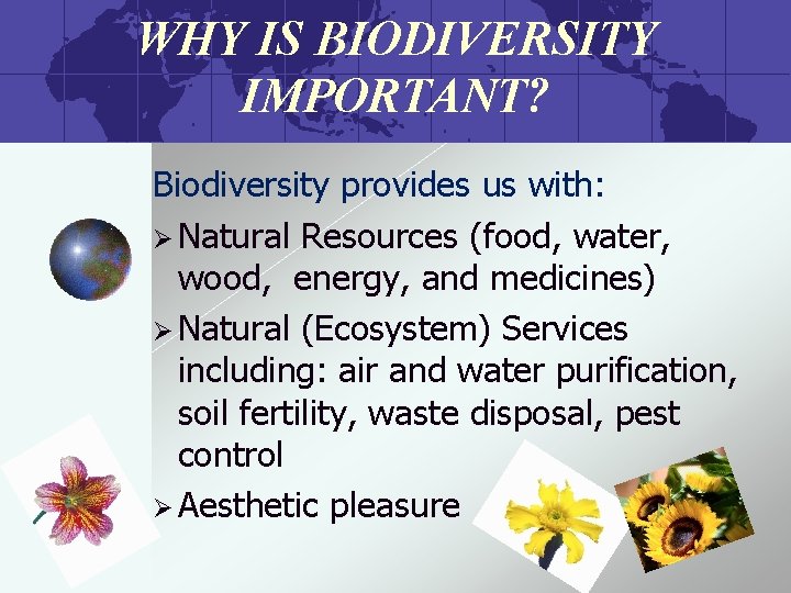 WHY IS BIODIVERSITY IMPORTANT? Biodiversity provides us with: Ø Natural Resources (food, water, wood,