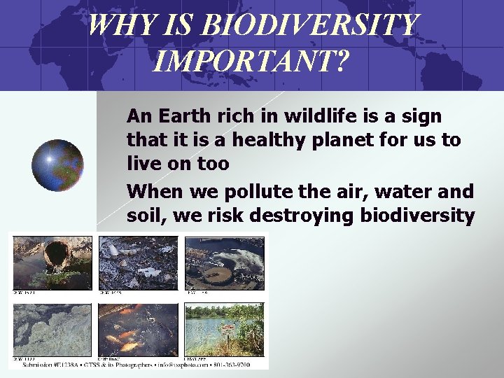 WHY IS BIODIVERSITY IMPORTANT? An Earth rich in wildlife is a sign that it