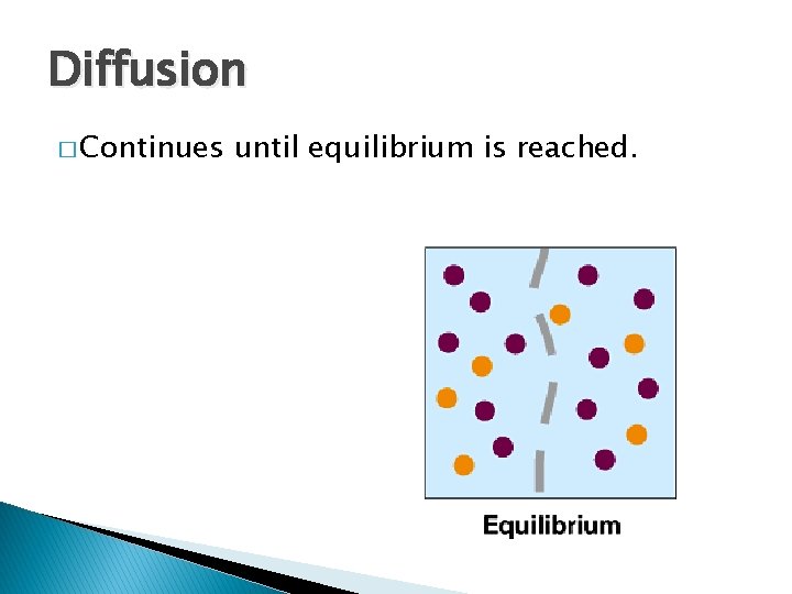 Diffusion � Continues until equilibrium is reached. 
