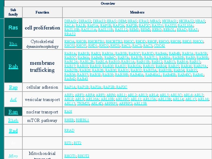 Overview Sub family Function Ras cell proliferation Rho Cytoskeletal dynamics/morphology Rab membrane trafficking Rap