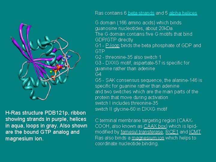 Ras contains 6 beta strands and 5 alpha helices H-Ras structure PDB 121 p,