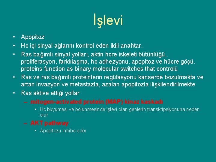 İşlevi • Apopitoz • Hc içi sinyal ağlarını kontrol eden ikili anahtar. • Ras