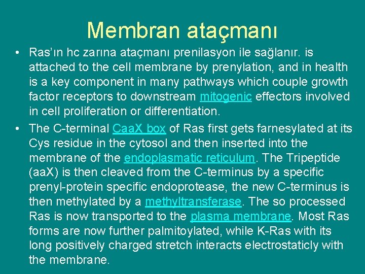 Membran ataçmanı • Ras’ın hc zarına ataçmanı prenilasyon ile sağlanır. is attached to the