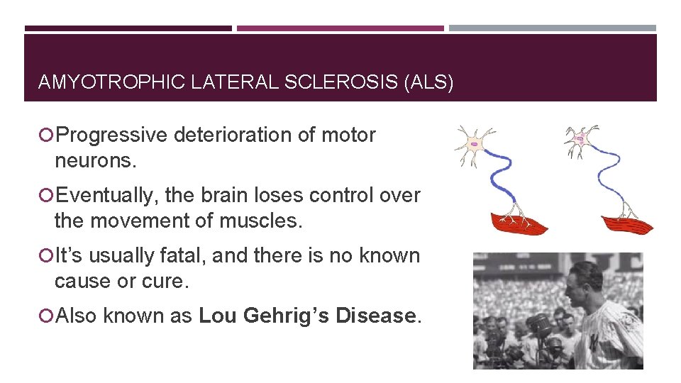 AMYOTROPHIC LATERAL SCLEROSIS (ALS) Progressive deterioration of motor neurons. Eventually, the brain loses control