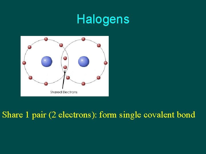 Halogens Share 1 pair (2 electrons): form single covalent bond 