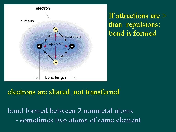 If attractions are > than repulsions: bond is formed electrons are shared, not transferred