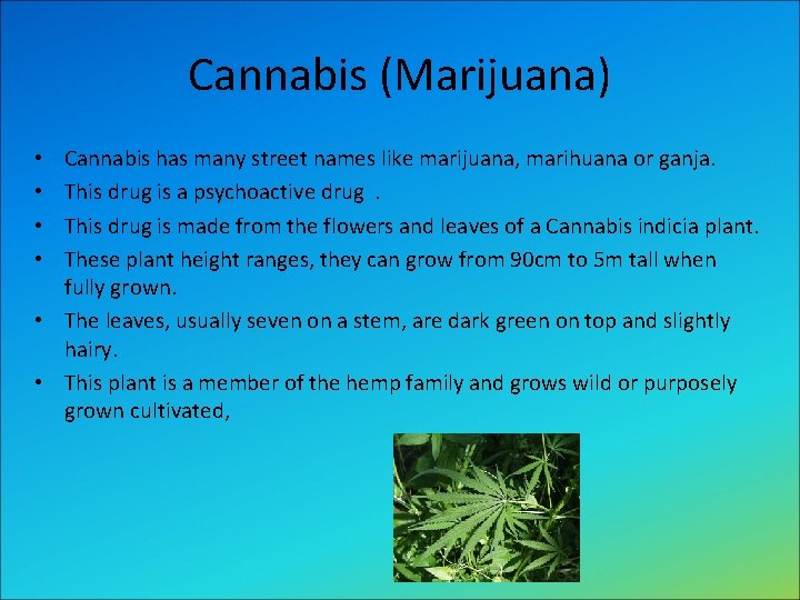 Cannabis (Marijuana) Cannabis has many street names like marijuana, marihuana or ganja. This drug