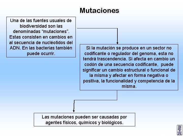 Mutaciones Una de las fuentes usuales de biodiversidad son las denominadas “mutaciones”. Estas consisten