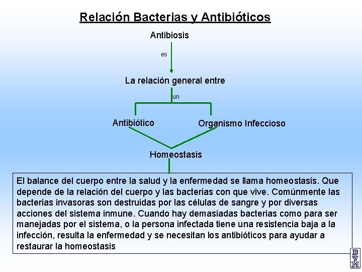 Relación Bacterias y Antibióticos Antibiosis es La relación general entre un Antibiótico Organismo Infeccioso