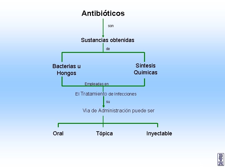 Antibióticos son Sustancias obtenidas de Síntesis Químicas Bacterias u Hongos Empleadas en El Tratamiento