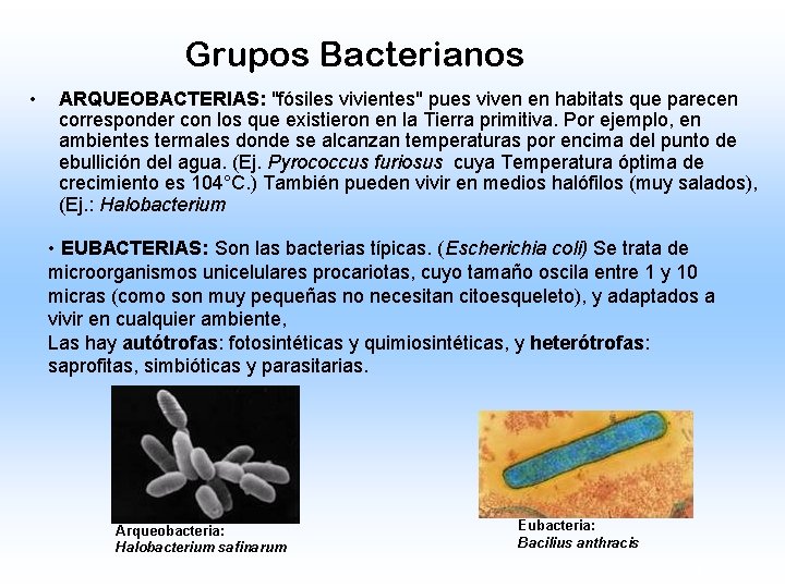 Grupos Bacterianos • ARQUEOBACTERIAS: "fósiles vivientes" pues viven en habitats que parecen corresponder con