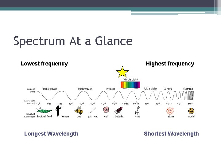 Spectrum At a Glance Lowest frequency Longest Wavelength Highest frequency Shortest Wavelength 