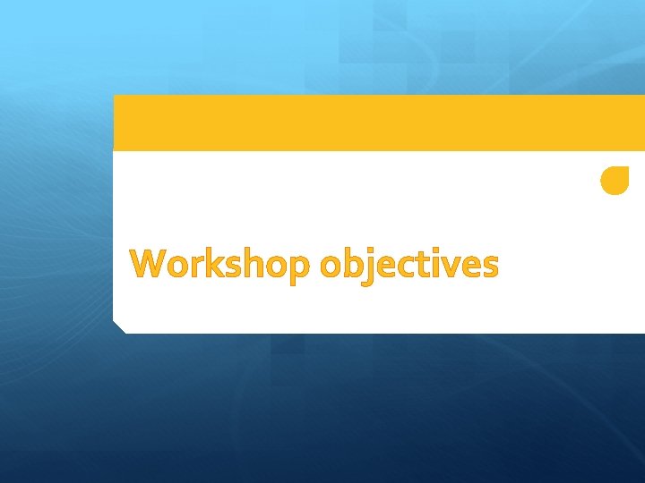 Workshop objectives 