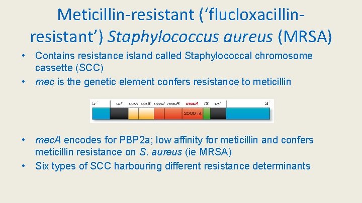 Meticillin-resistant (‘flucloxacillinresistant’) Staphylococcus aureus (MRSA) • Contains resistance island called Staphylococcal chromosome cassette (SCC)