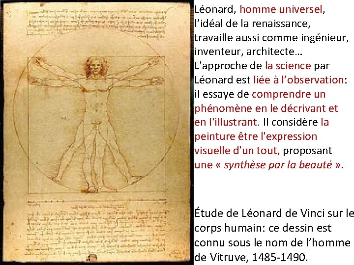 Léonard, homme universel, l’idéal de la renaissance, travaille aussi comme ingénieur, inventeur, architecte… L'approche