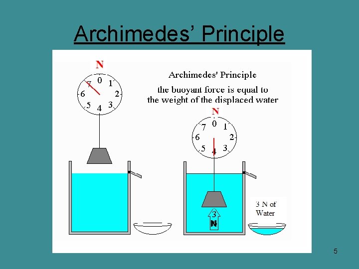 Archimedes’ Principle N 5 