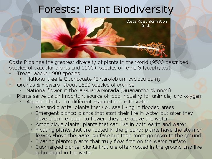Forests: Plant Biodiversity Costa Rica Information (n. d. ) Costa Rica has the greatest