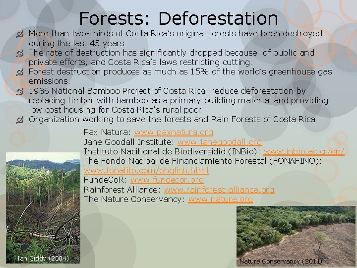 Forests: Deforestation More than two-thirds of Costa Rica’s original forests have been destroyed during