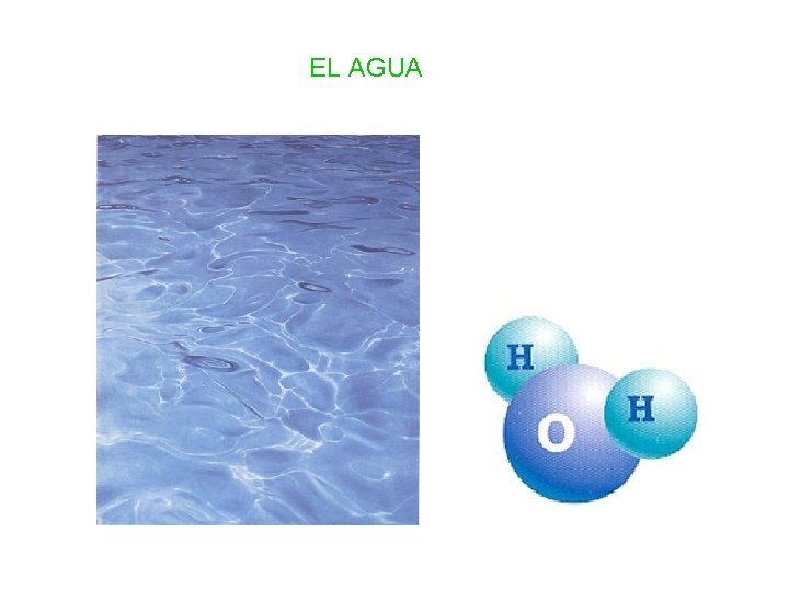 EL AGUA 