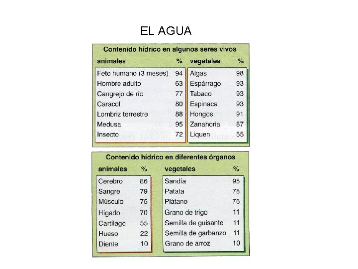 EL AGUA 
