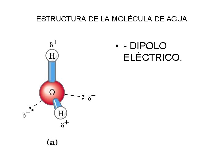 ESTRUCTURA DE LA MOLÉCULA DE AGUA • - DIPOLO ELÉCTRICO. 