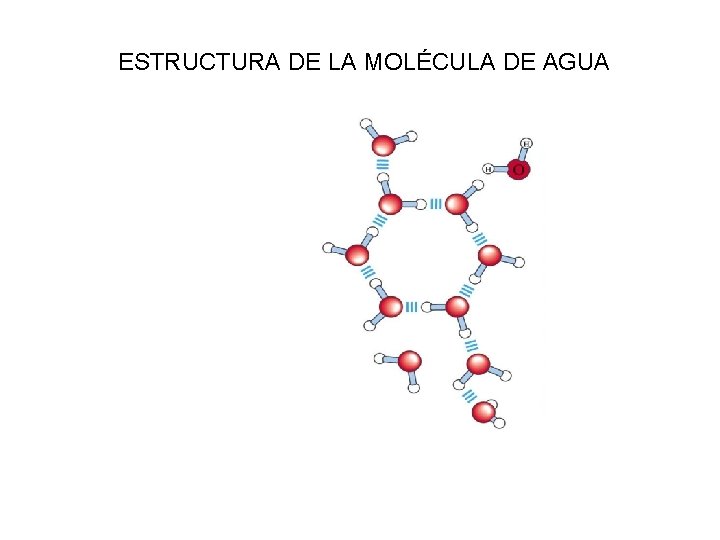 ESTRUCTURA DE LA MOLÉCULA DE AGUA EL AGUA 