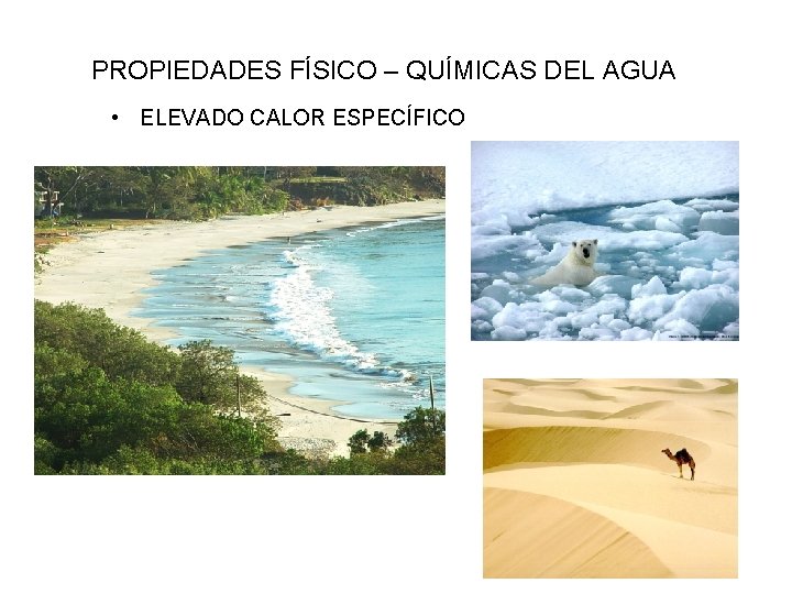 PROPIEDADES FÍSICO – QUÍMICAS DEL AGUA • ELEVADO CALOR ESPECÍFICO 