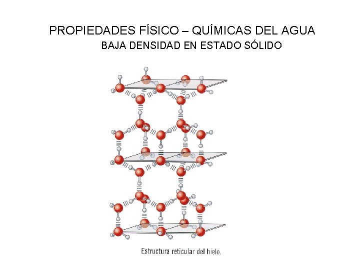 PROPIEDADES FÍSICO – QUÍMICAS DEL AGUA BAJA DENSIDAD EN ESTADO SÓLIDO 