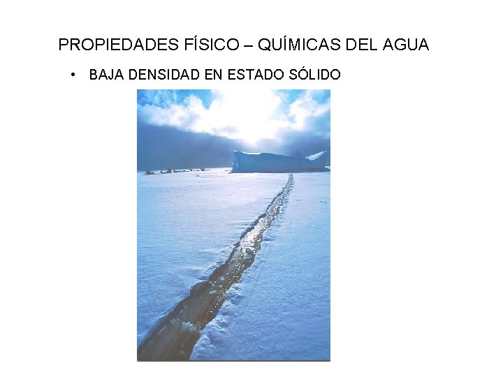 PROPIEDADES FÍSICO – QUÍMICAS DEL AGUA • BAJA DENSIDAD EN ESTADO SÓLIDO 