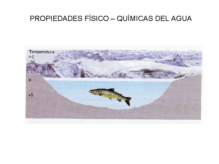 PROPIEDADES FÍSICO – QUÍMICAS DEL AGUA 
