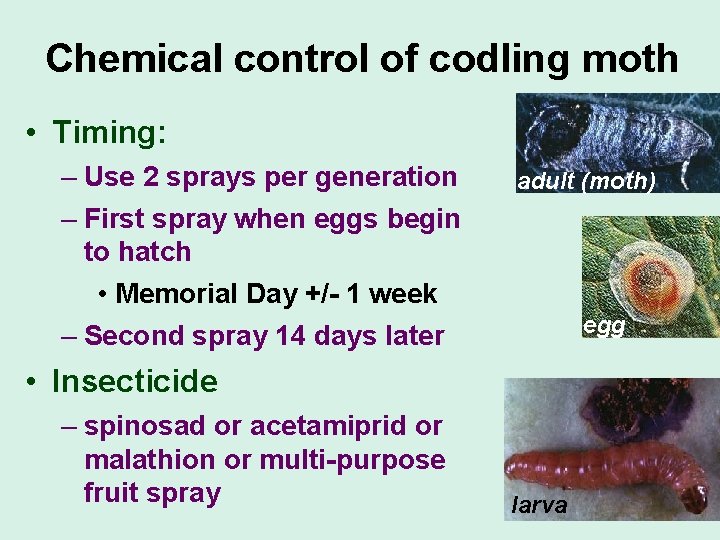 Chemical control of codling moth • Timing: – Use 2 sprays per generation –
